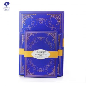 NEU,Paul Rubens Aquarell Sky Seria, Organ Style,300 g 50% Baumwolle,A5, 14 Blätter, Kalt gepresst, Mittelkorn